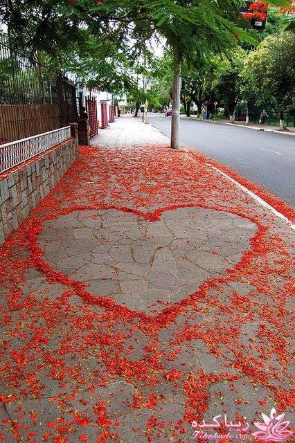 عکس های جالب